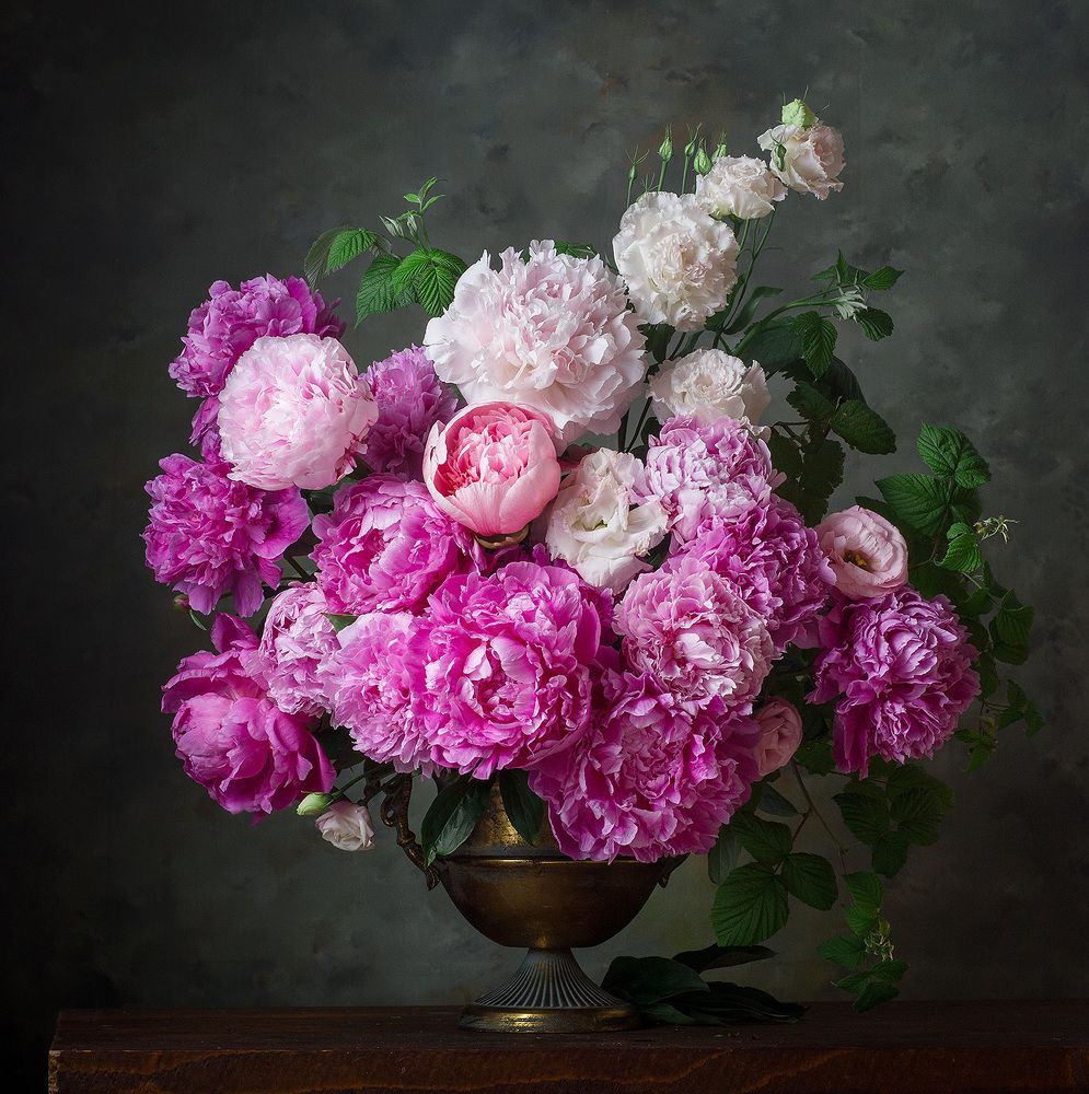 Фотография автора Алина Ланкина