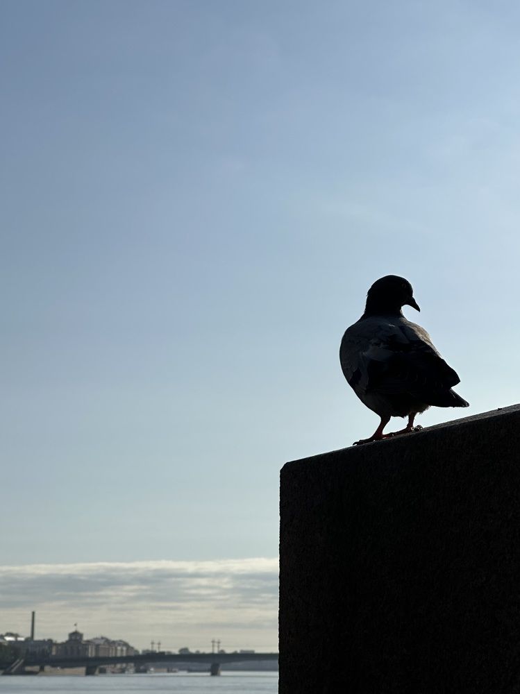 Photograph by Ekaterina Slepneva