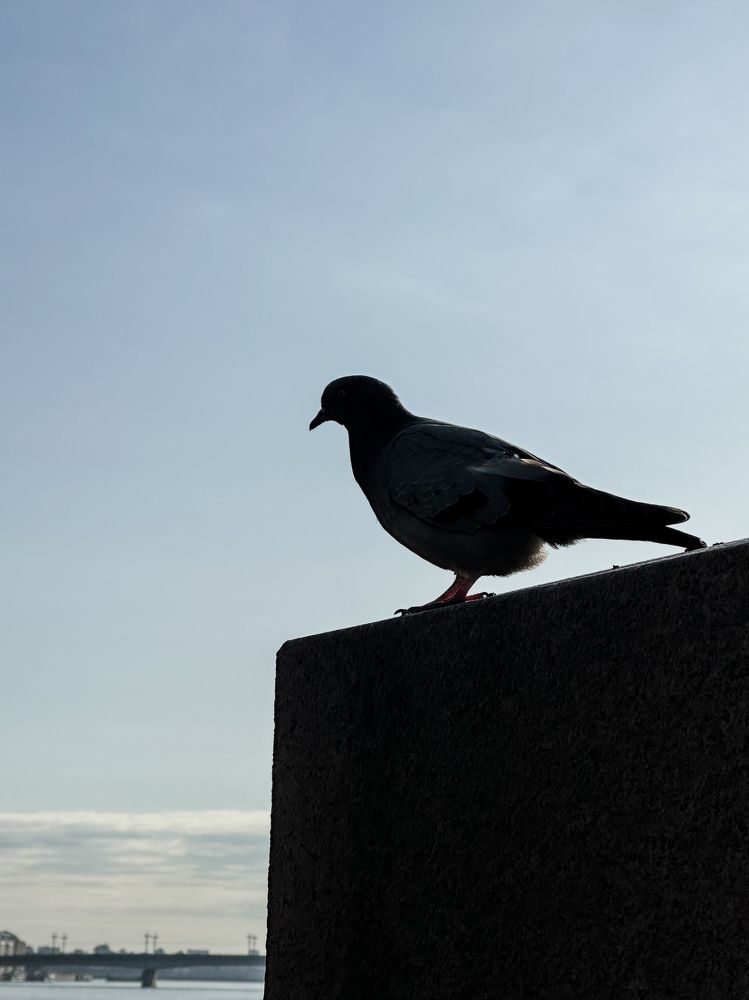 Photograph by Ekaterina Slepneva