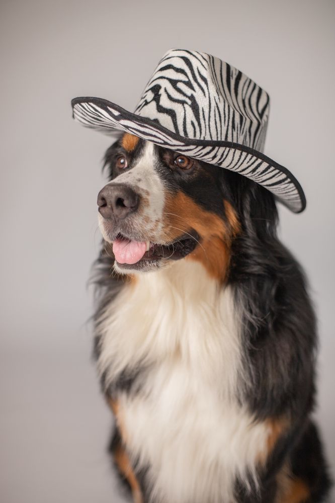 Photograph by Ольга Деревяженкова