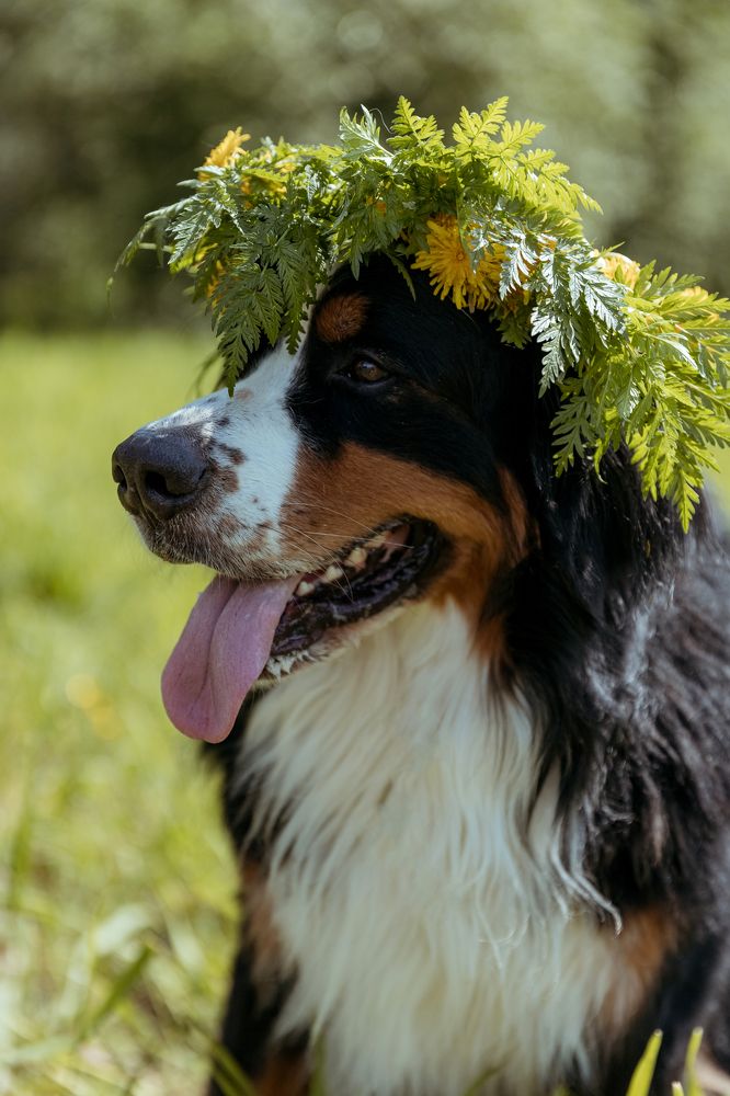 Photograph by Ольга Деревяженкова