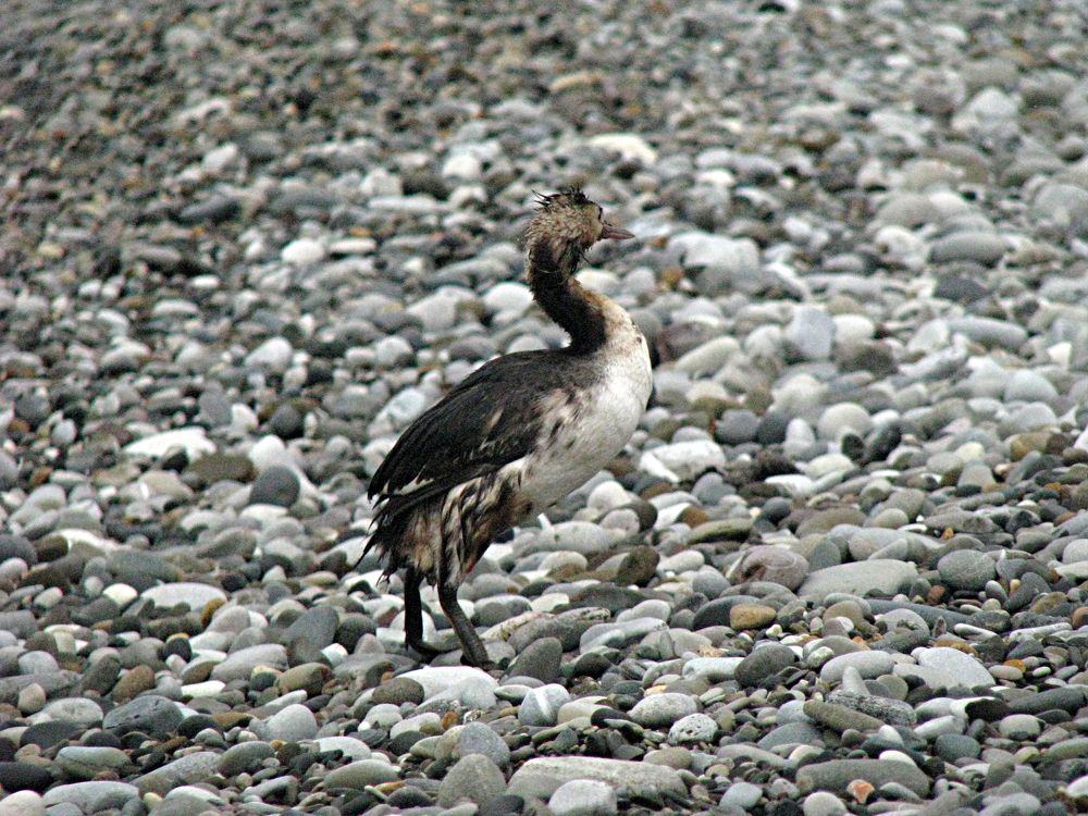 Photograph by Лада Кляузина