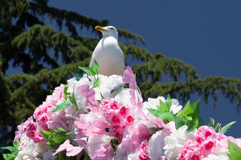 Photograph by Олег Болотников