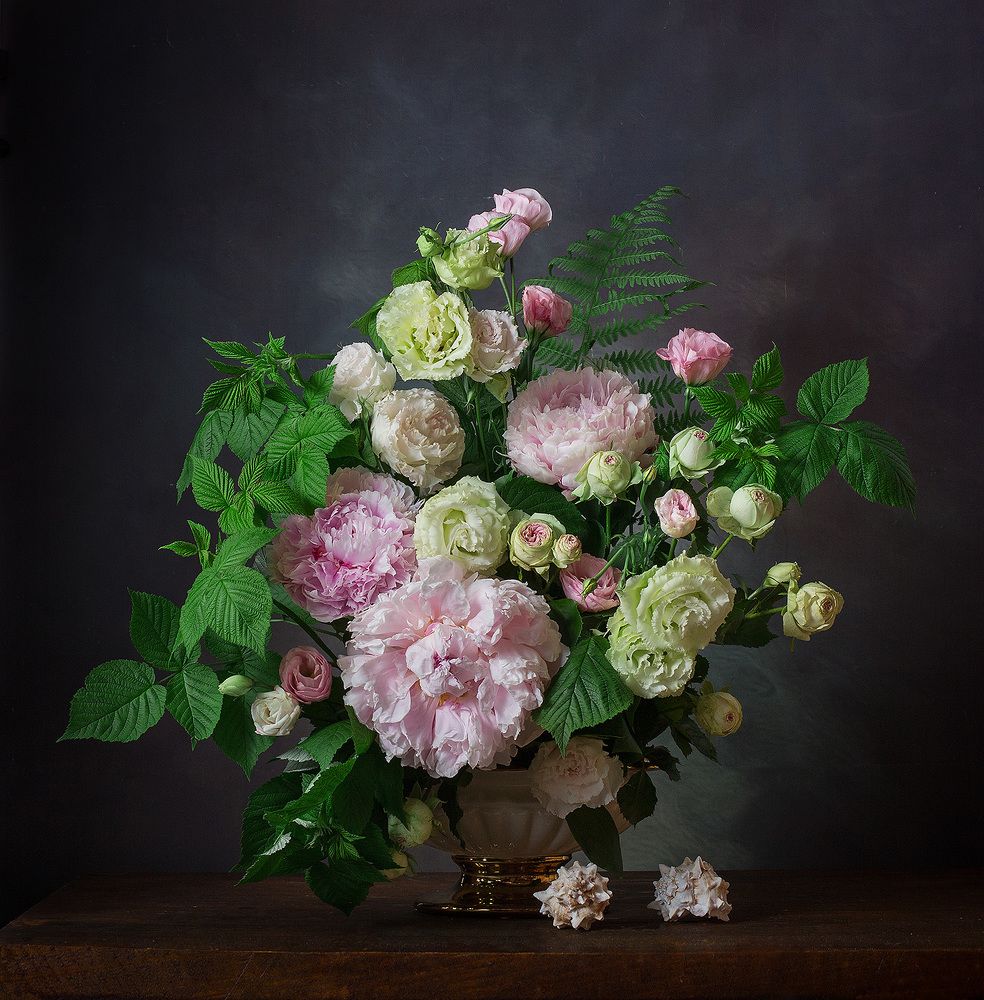 Фотография автора Алина Ланкина