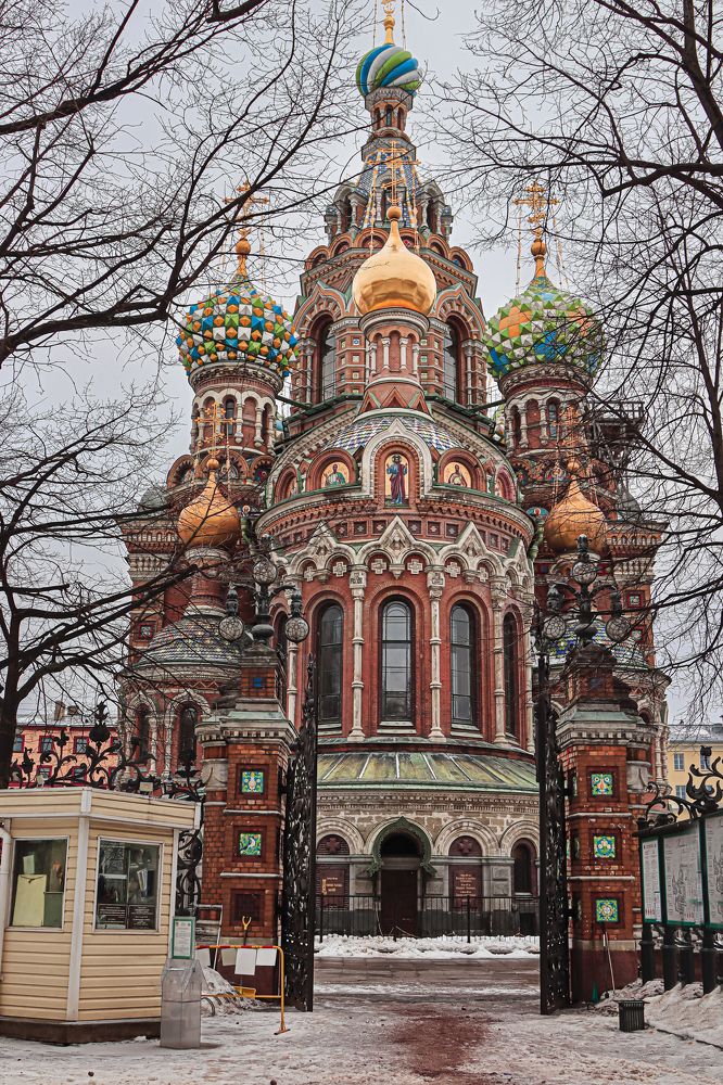 Фотография автора Елена Разина