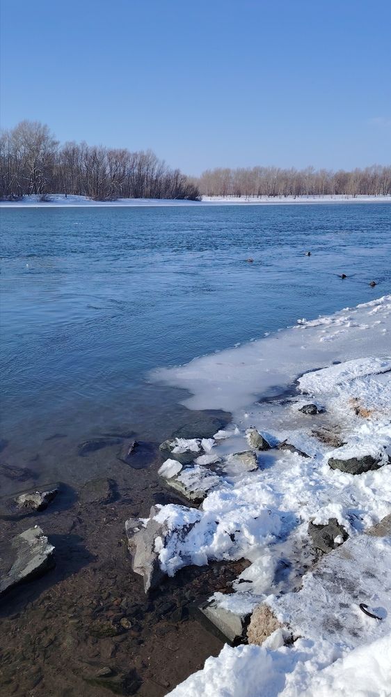 Фотография автора Анна Морозова