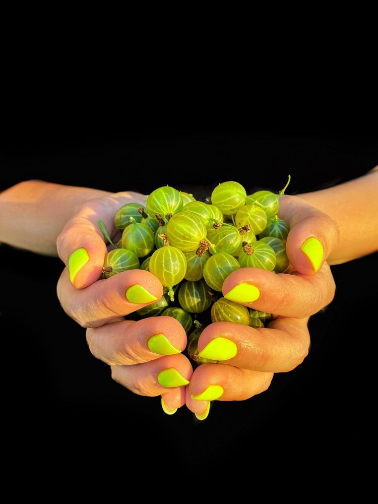 Photograph by Ольга Уласик