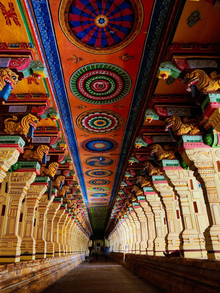 Photograph by Aadarsh choudhary