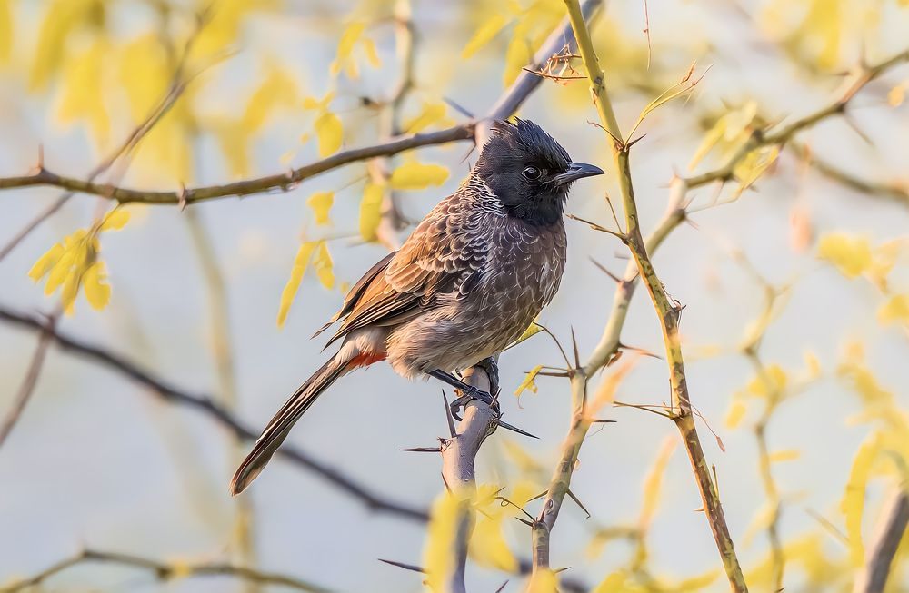 Photograph by Aadarsh choudhary