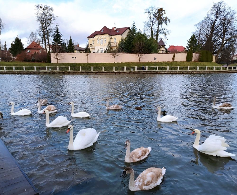 Photograph by Юлия Холомцева