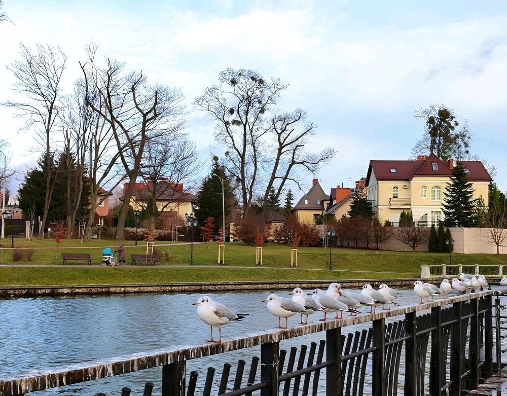 Photograph by Юлия Холомцева