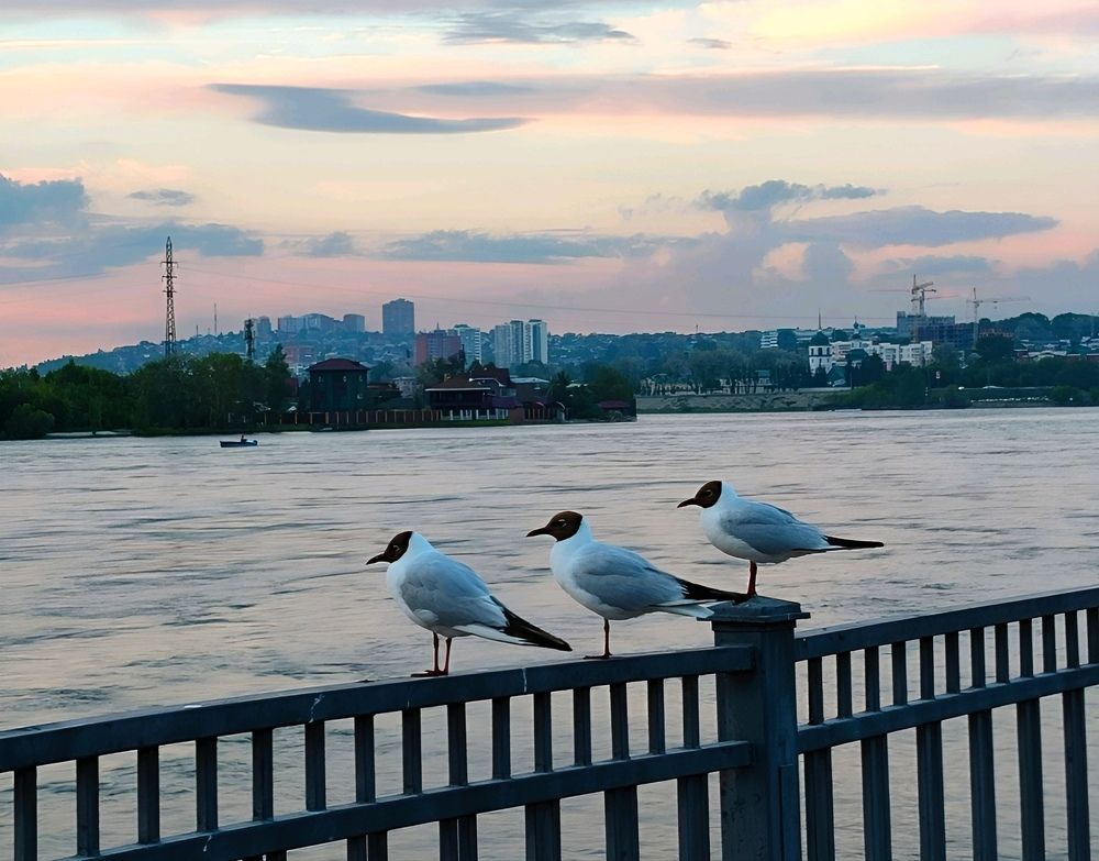 Photograph by Юлия Холомцева