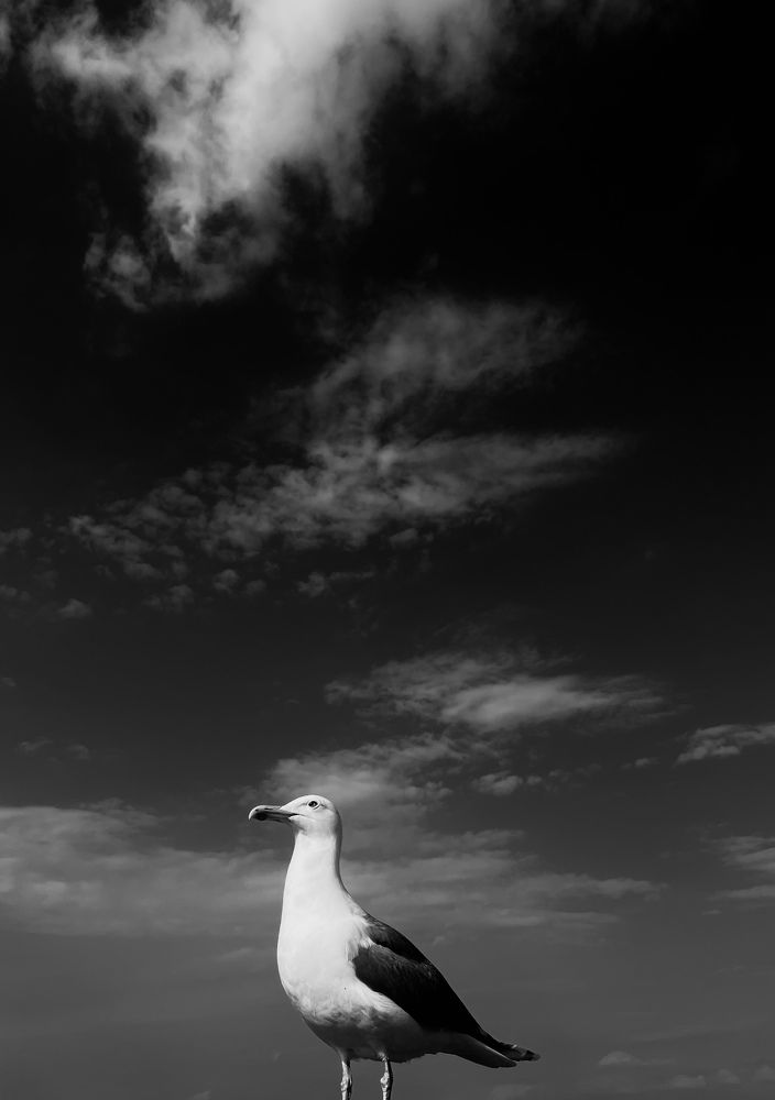 Photograph by Анна Ляшенко