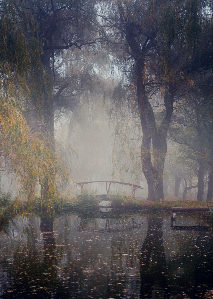 Мост через форелевый пруд