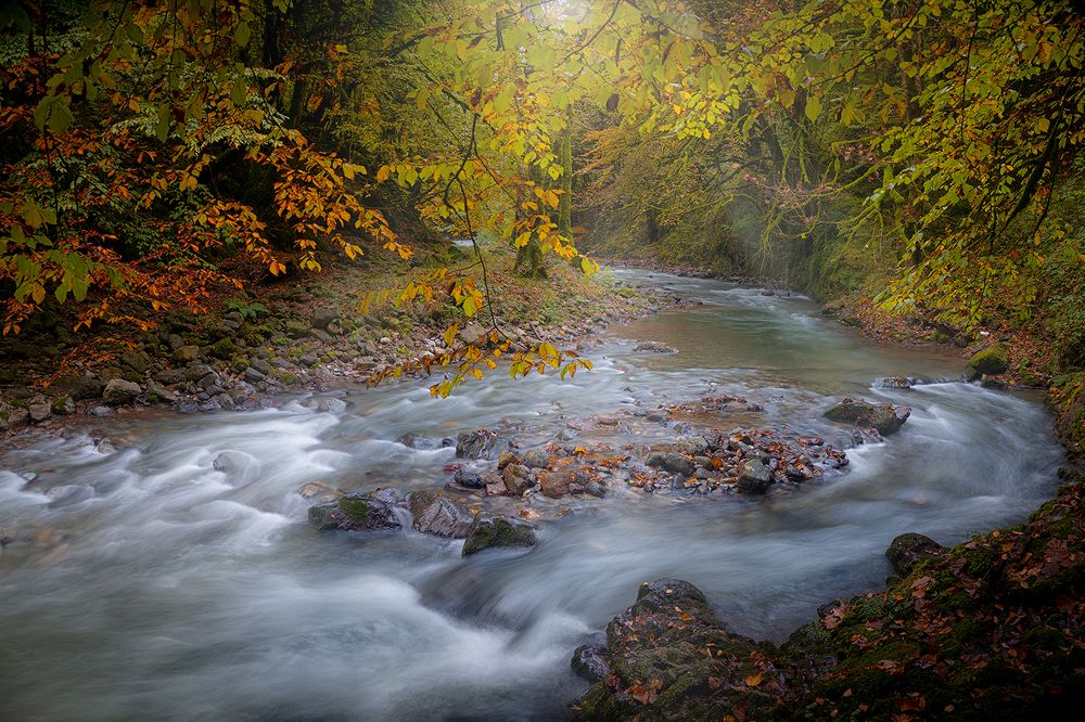 Фотография автора Ali Rouhi