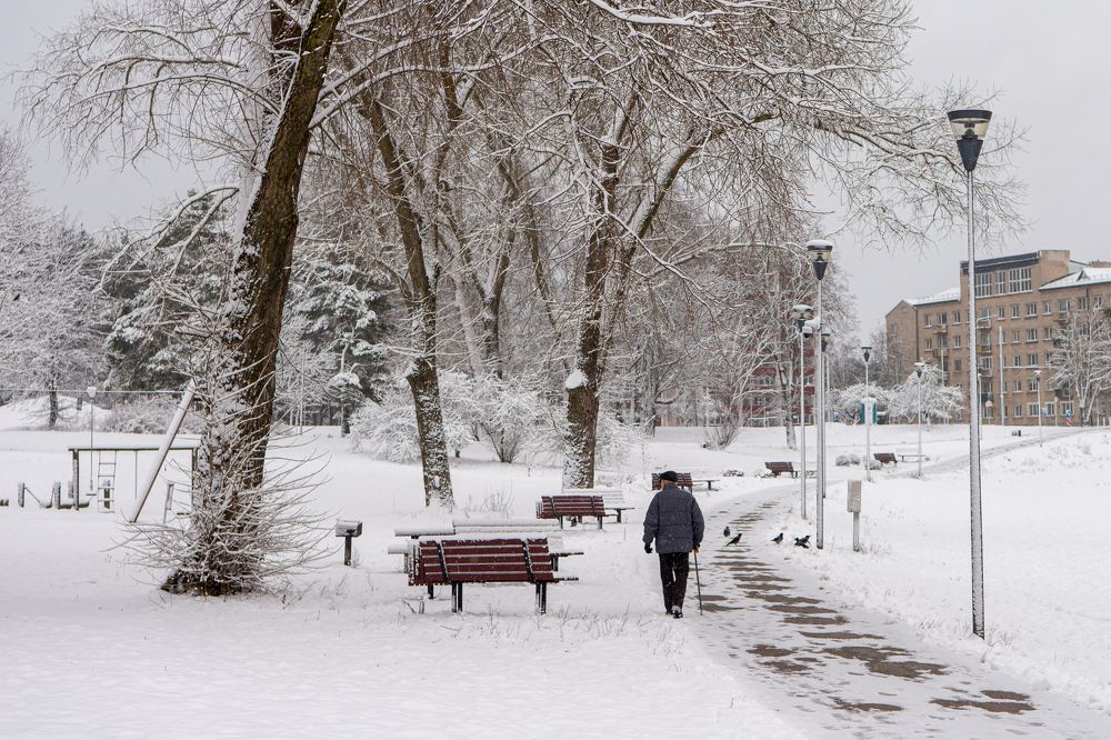 Фотография автора Нина Шкляр