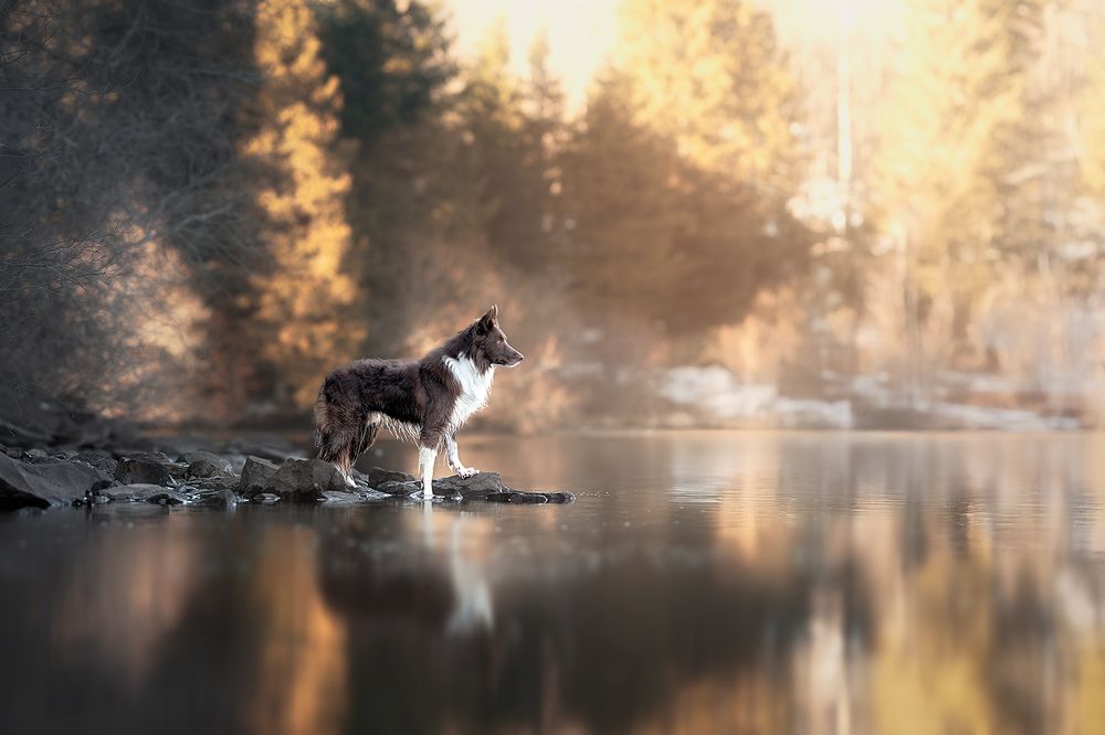 Photograph by Laura Quintanel