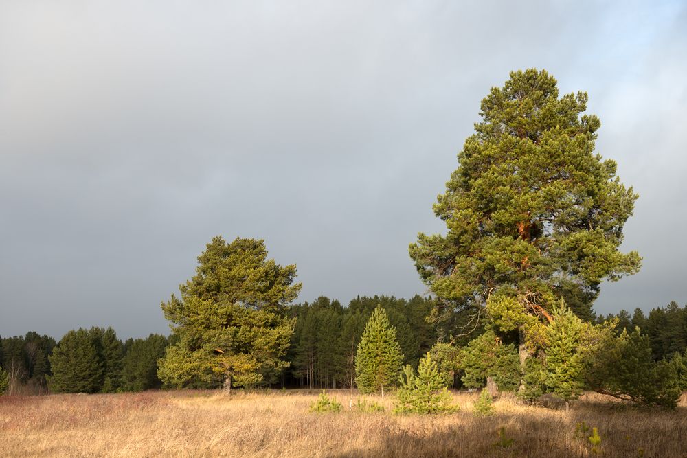 Photograph by Андрей Овсов