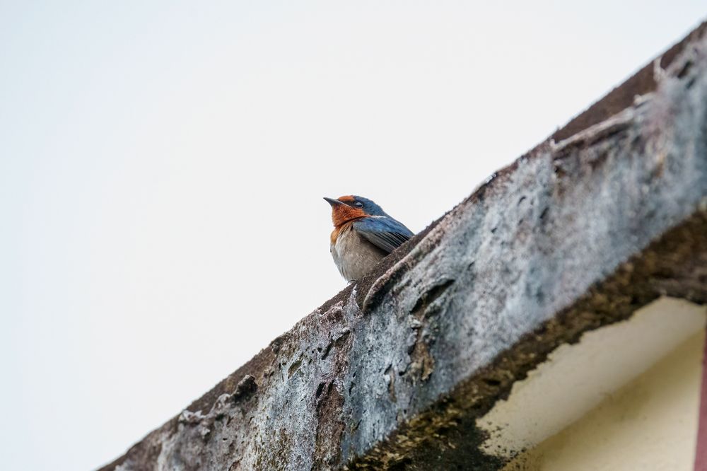 Фотография автора Hari Venkatesh