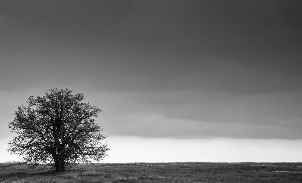 Photograph by George Catalin Serbu