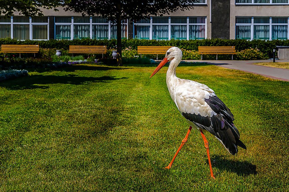 Photograph by Леонид Соболев