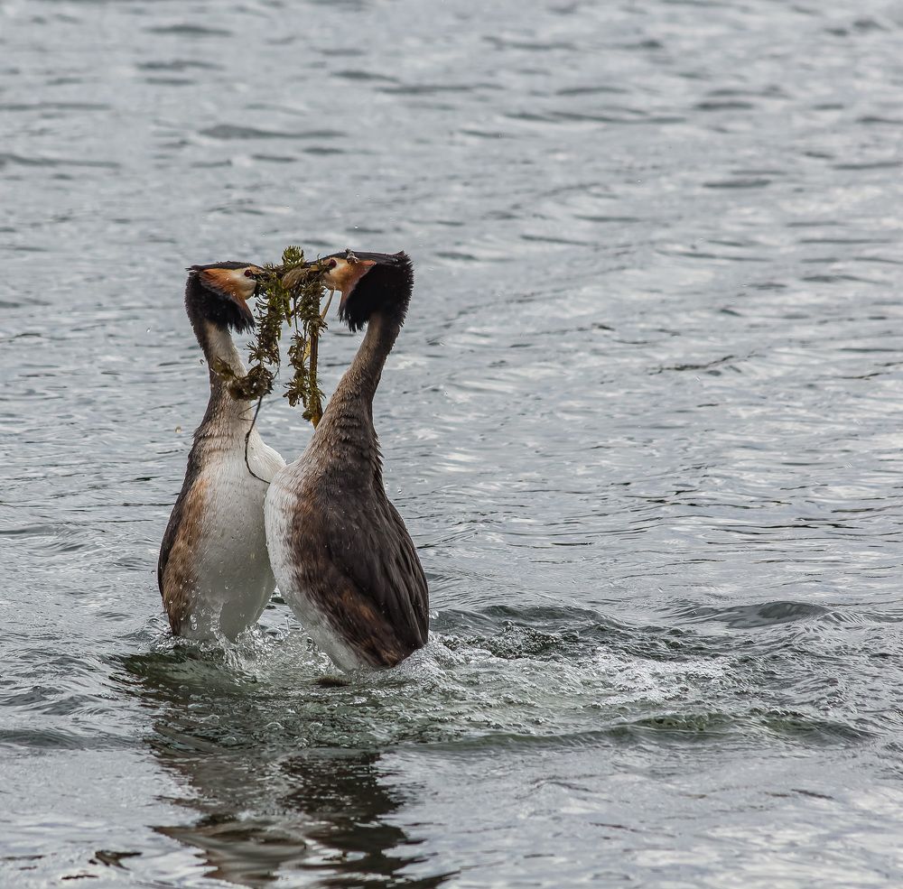 Photograph by Victor Shaposhnikov