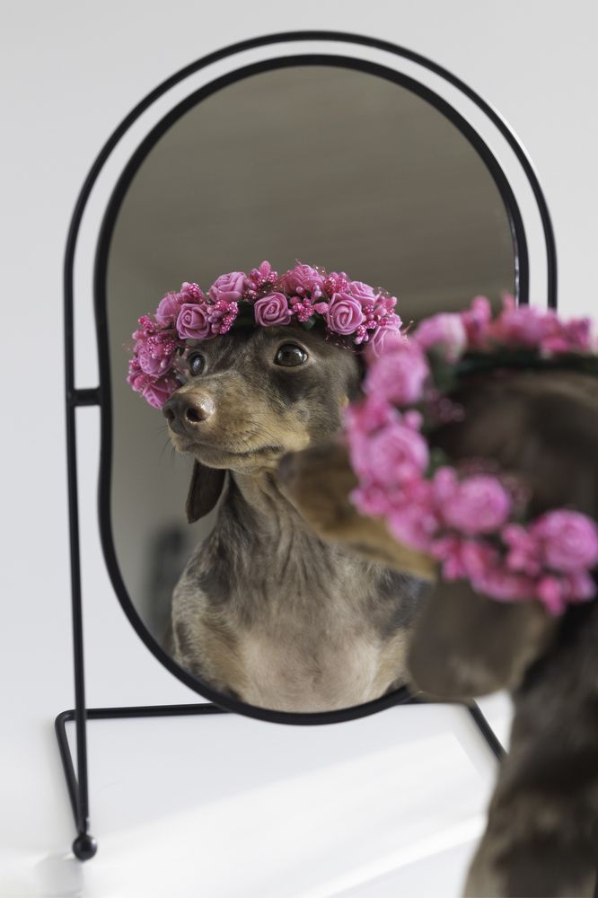 Photograph by Алла Логинова