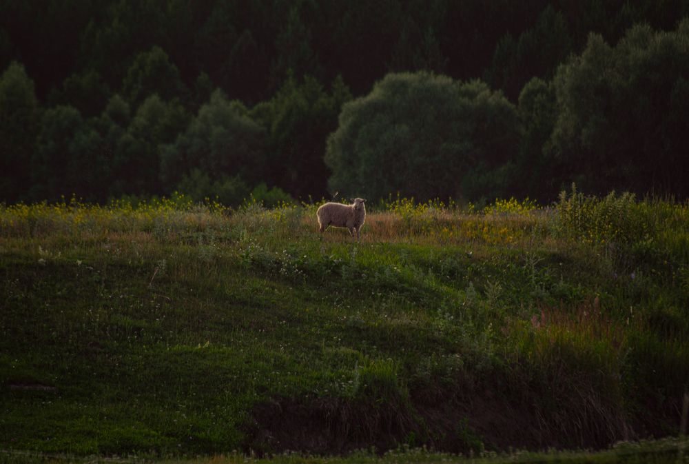 Photograph by Кристина Гоглева