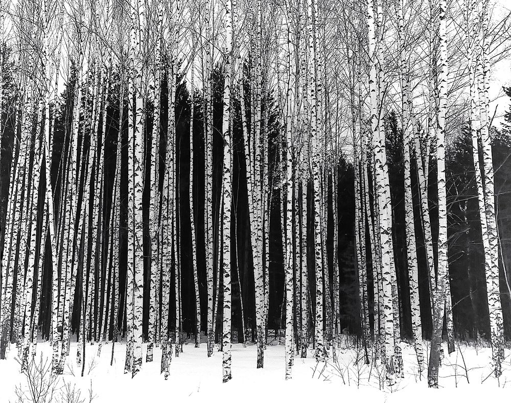 Photograph by Ольга Мартьянова