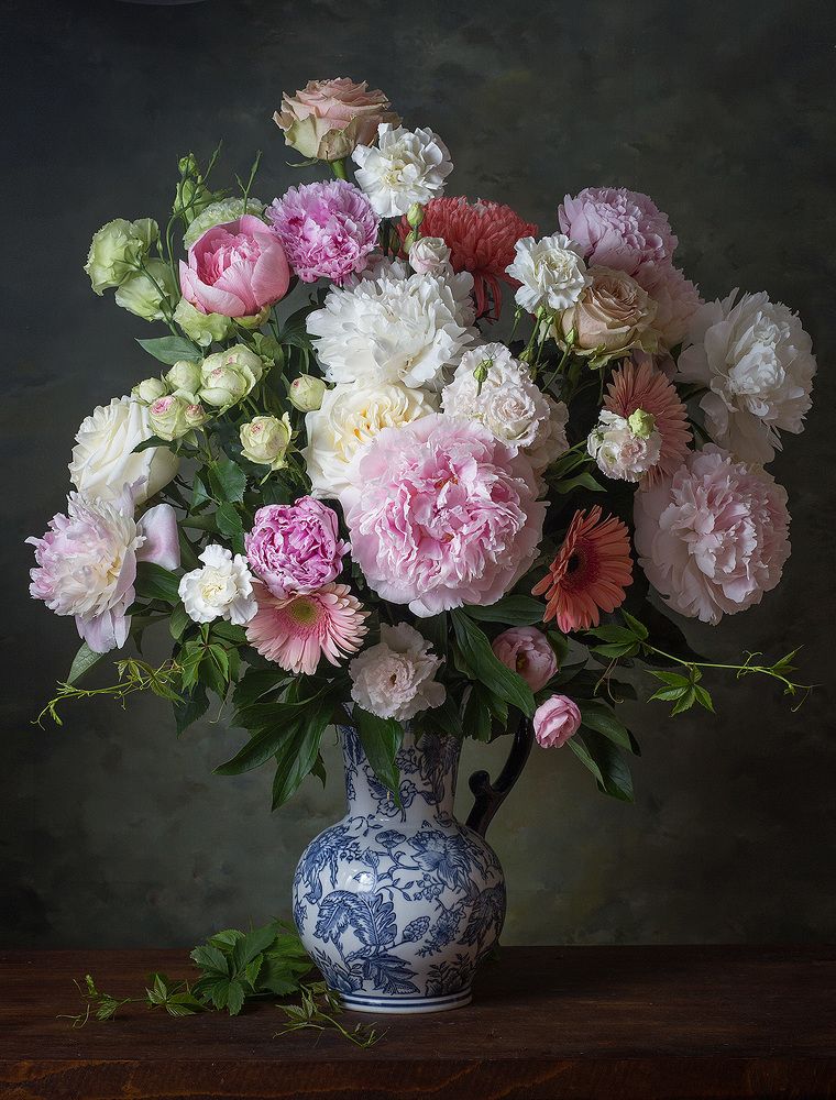 Фотография автора Алина Ланкина