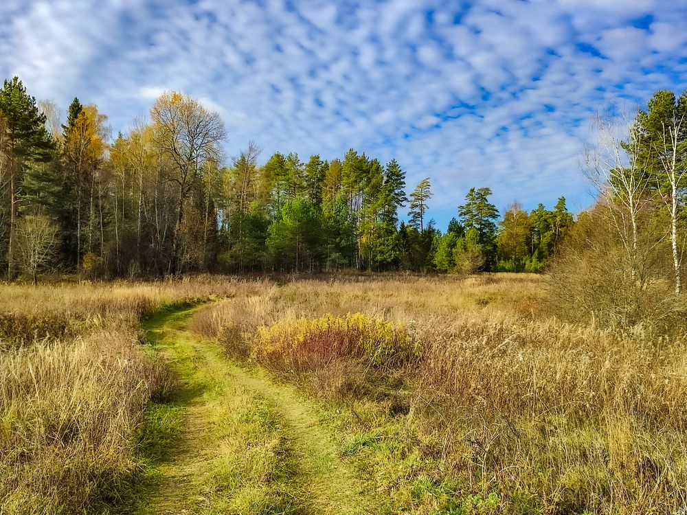 Photograph by Алёна Пшеленская
