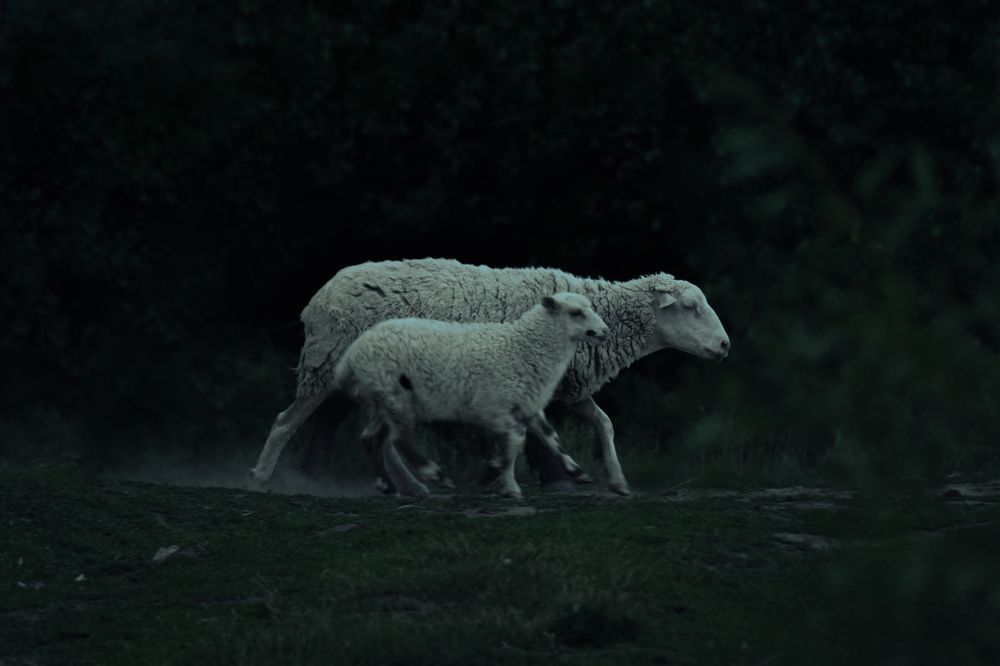 Photograph by Кристина Гоглева