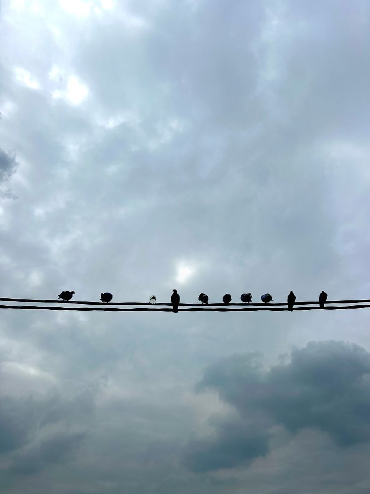Photograph by Оксана
