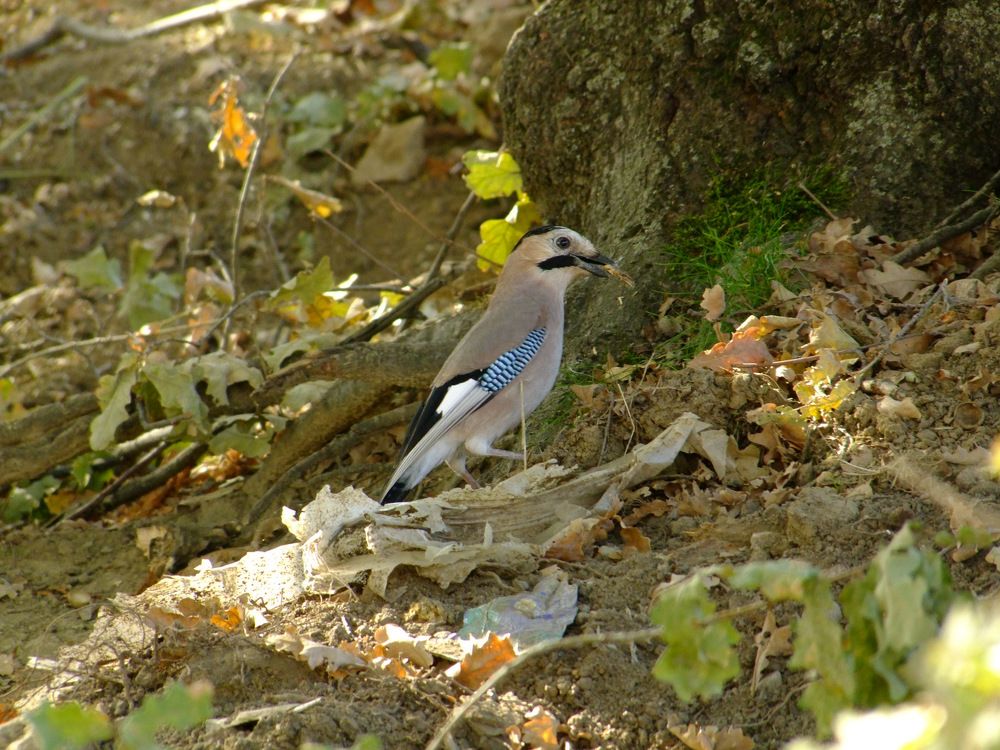 Photograph by Cengiz Yalcin