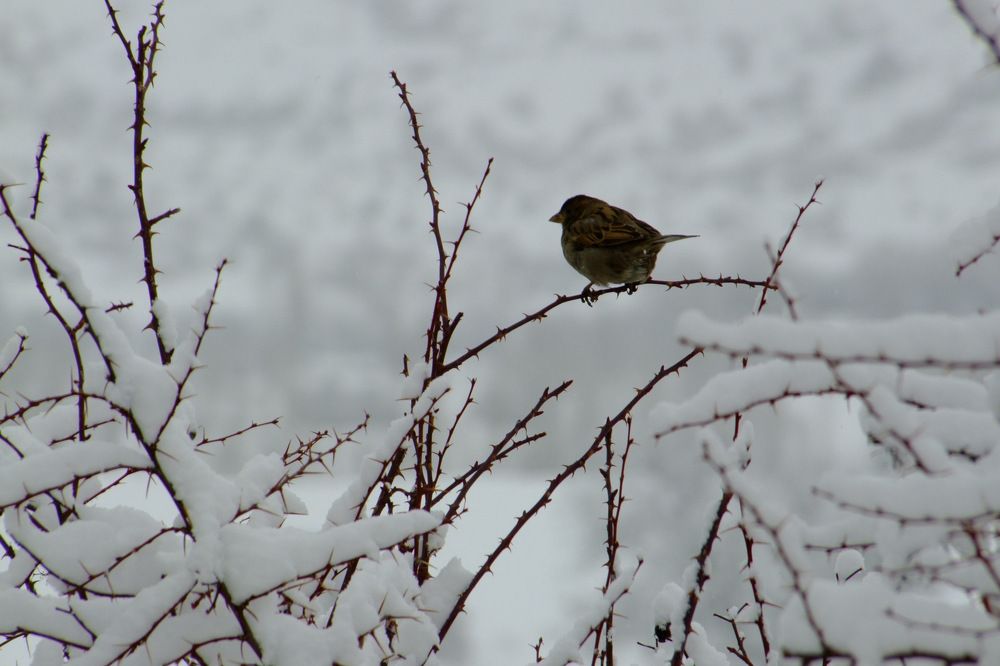 Photograph by Cengiz Yalcin