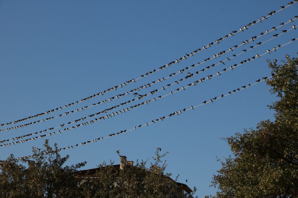 Photograph by Cengiz Yalcin