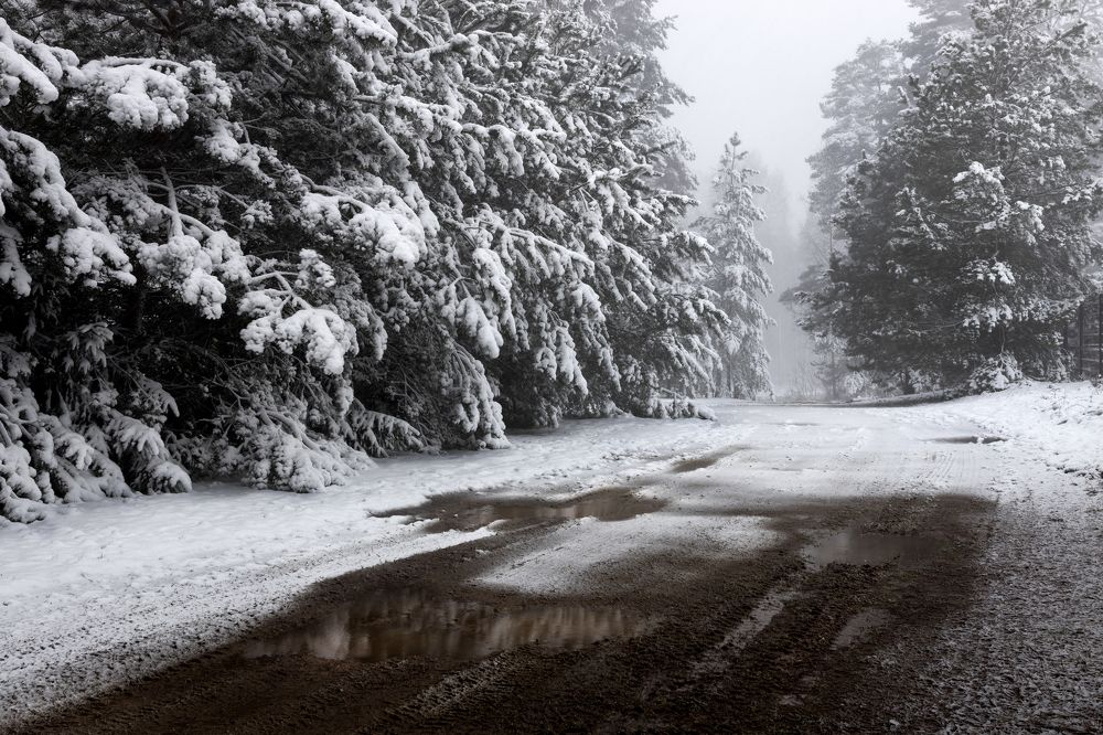 Фотография автора Inga Ivanova