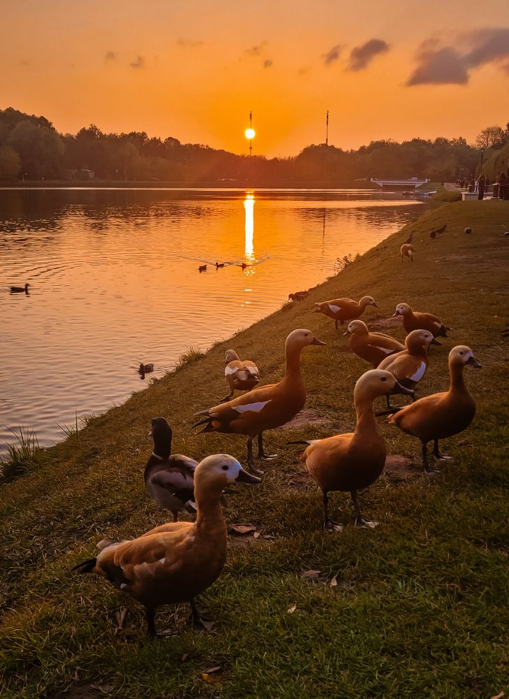 Photograph by Алла Никушкина