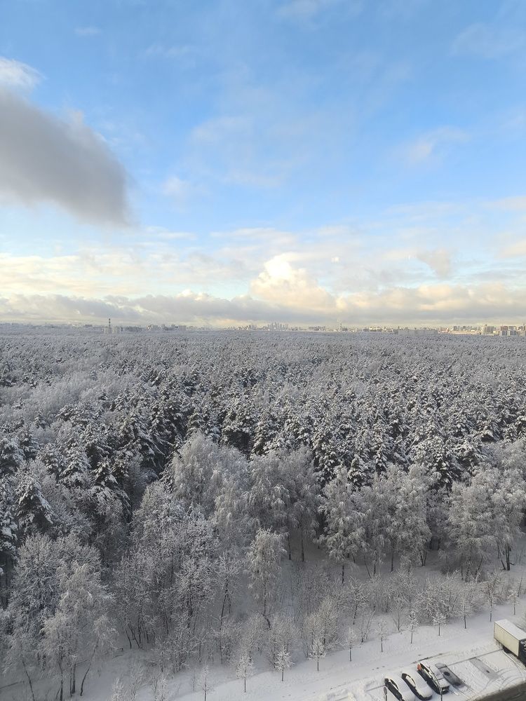 Photograph by Ольга Петрова