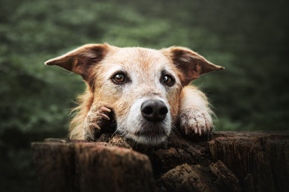 Photograph by leticia pascual garcia