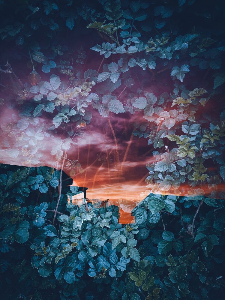 Photograph by Pati Goldberg