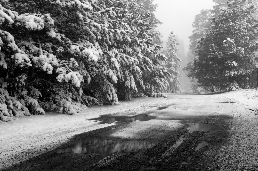 Фотография автора Inga Ivanova