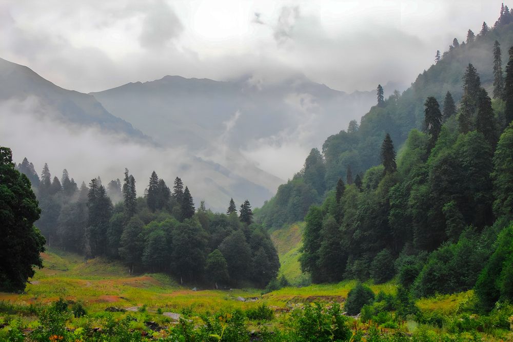 Photograph by Ирина Шибитова