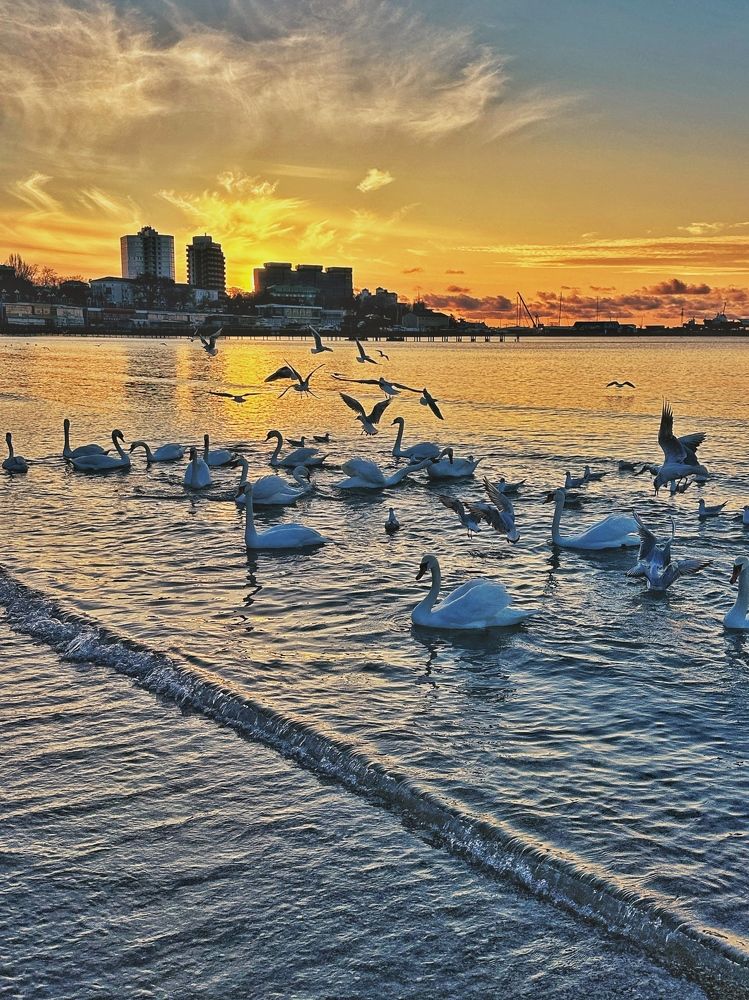 Photograph by Алексей Поляков