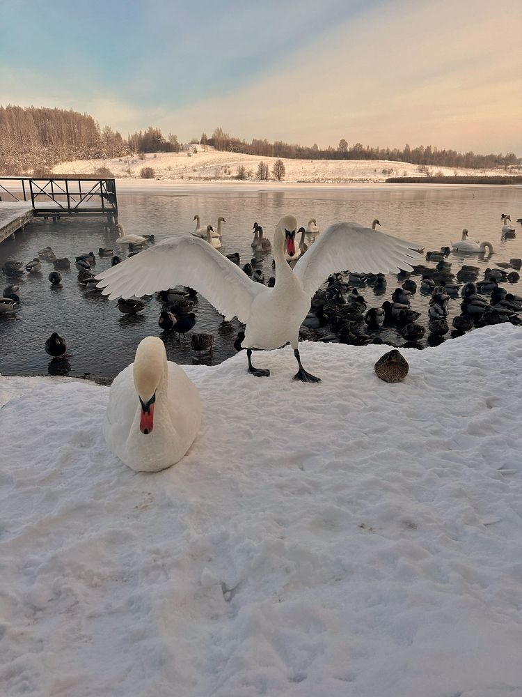 Photograph by Алексей Поляков