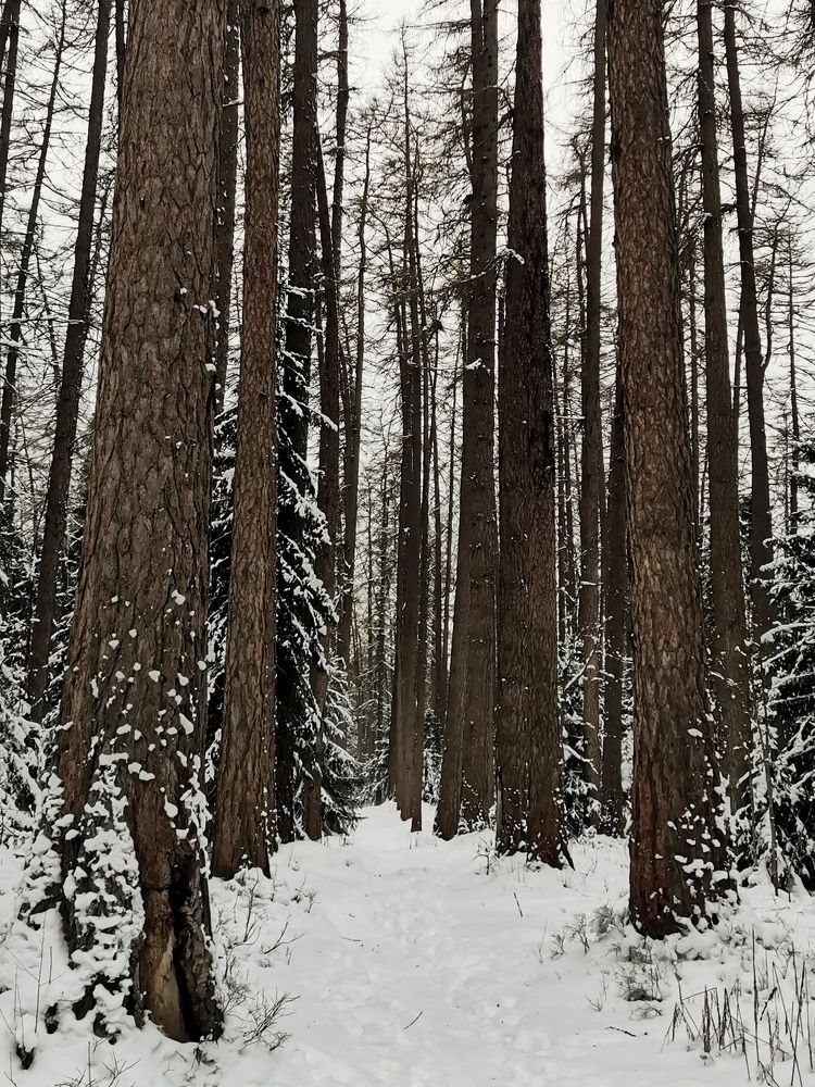 Photograph by Елена Акимова