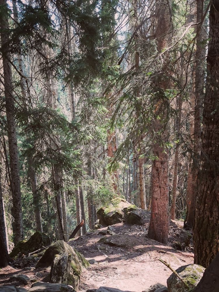 Photograph by Елена Акимова