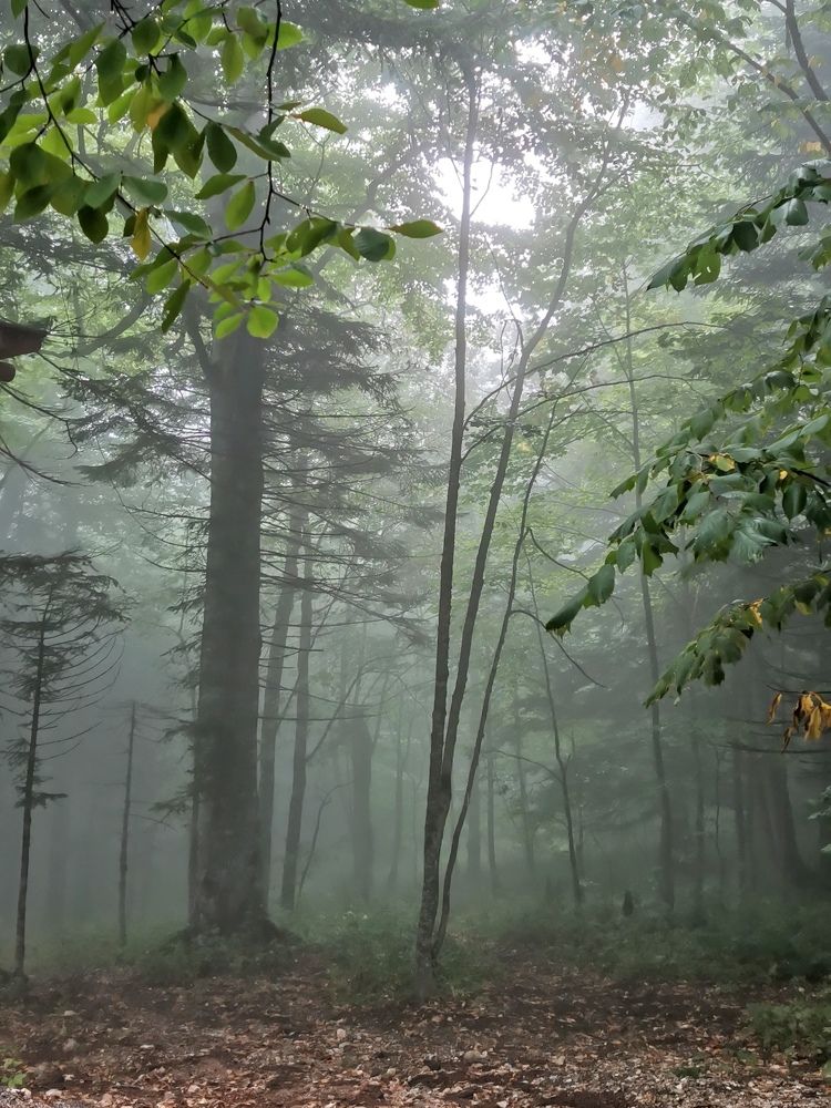 Photograph by Елена Акимова