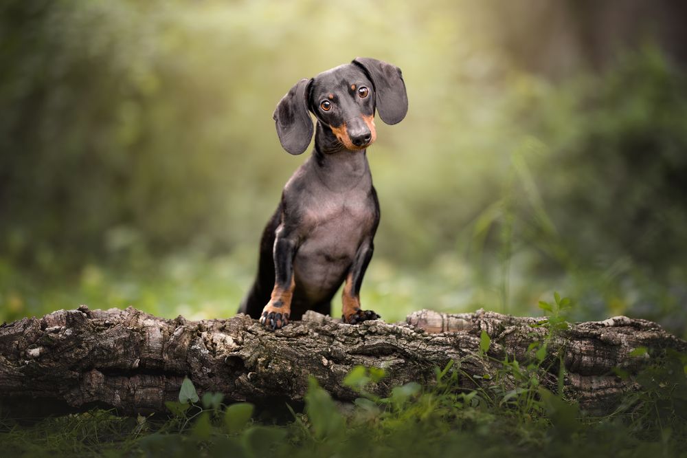 Photograph by Leticia Hernandez