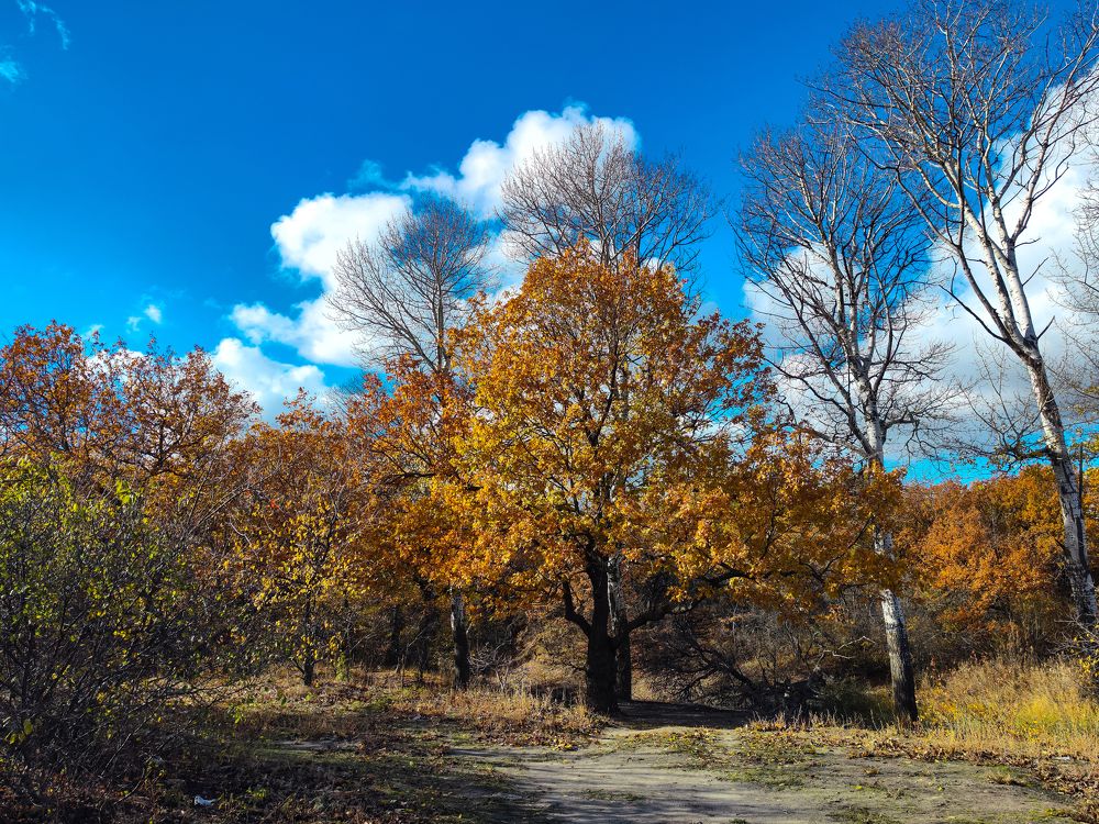 Photograph by Ирина Шибитова